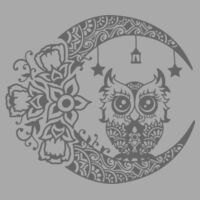 Zen Owl - AS Colour La Brea V Neck Womens Tee Design