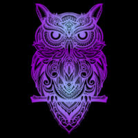 Owl Mandala - AS Colour CROP TEE - 4062 Design