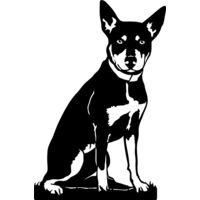 Kelpie Sitting Thumbnail