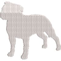 staffy4 white 50mm Thumbnail